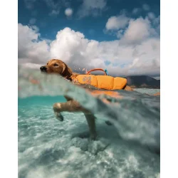 Non-stop dogwear Protector Life Jacket
