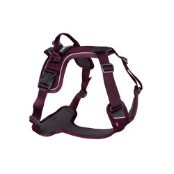Non-Stop dogwear Ramble Harness