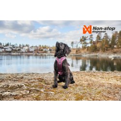 Non-Stop dogwear Ramble Harness