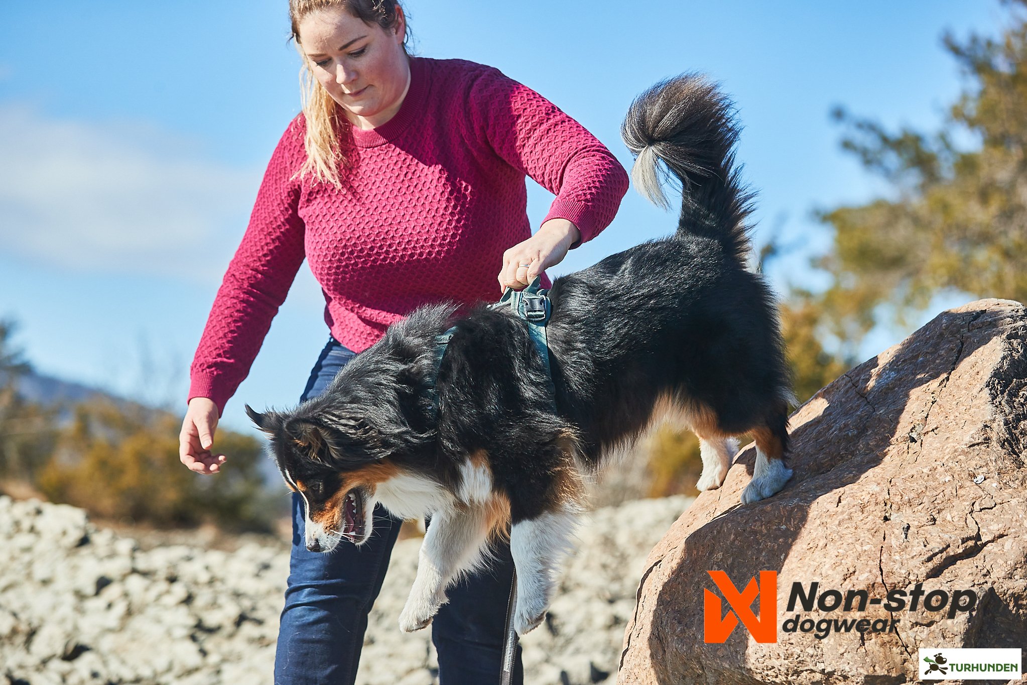 Non-Stop dogwear Ramble Harness