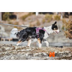 Non-Stop dogwear Ramble Harness
