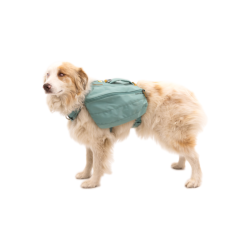 Ruffwear Front Range Day Pack