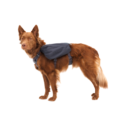 Ruffwear Front Range Day Pack