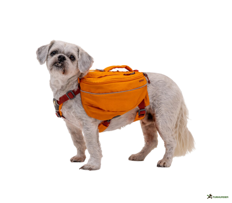Ruffwear Approach Pack