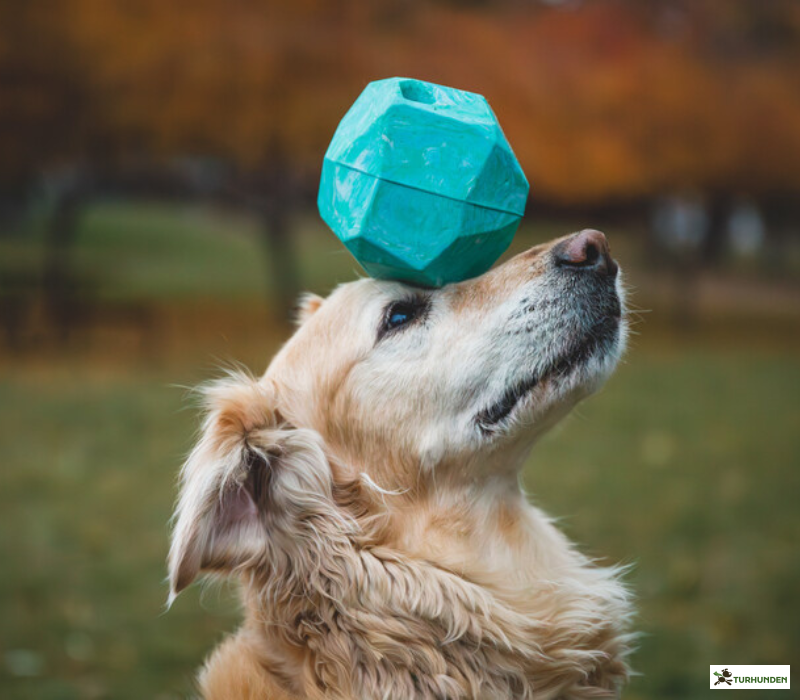 Ruffwear Gnawt-a-rock