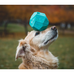 Ruffwear Gnawt-a-rock