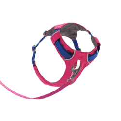 Ruffwear Hi &amp; Light Harness