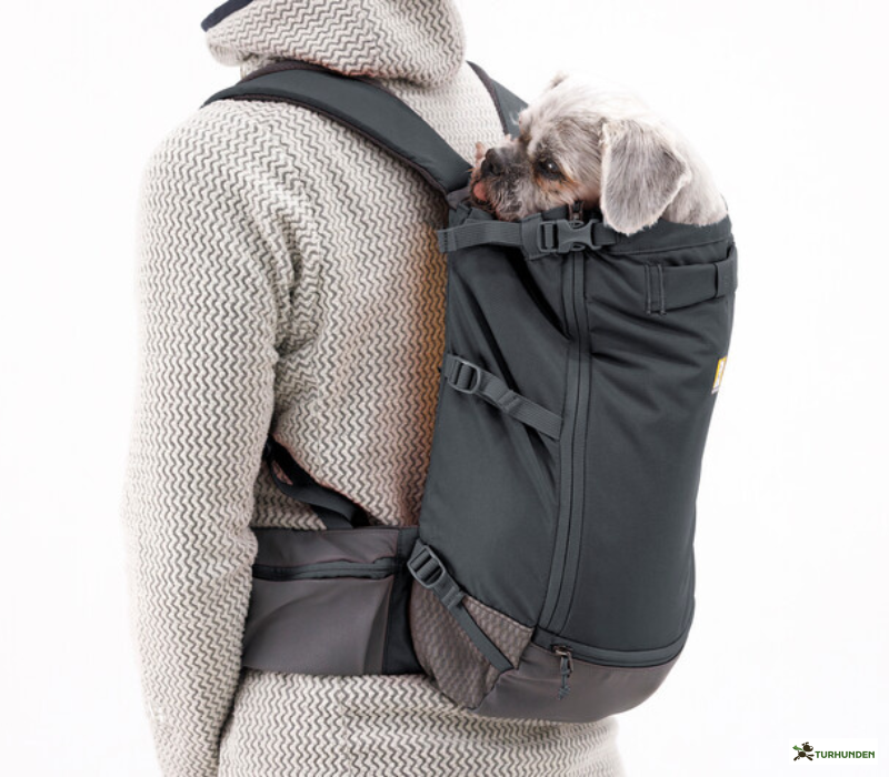 Ruffwear Hitch Hiker Dog Backpack Carrier