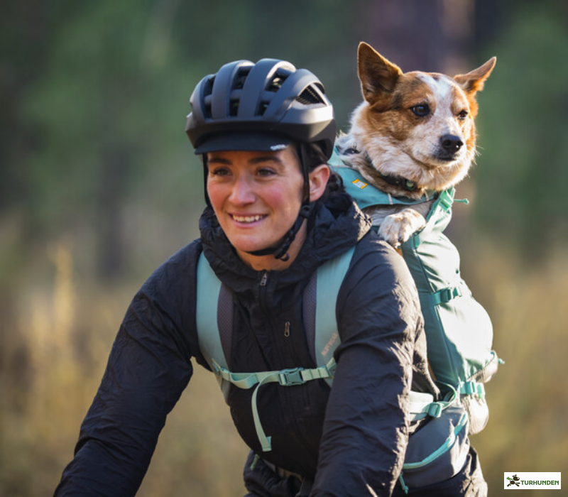 Ruffwear Hitch Hiker Dog Backpack Carrier