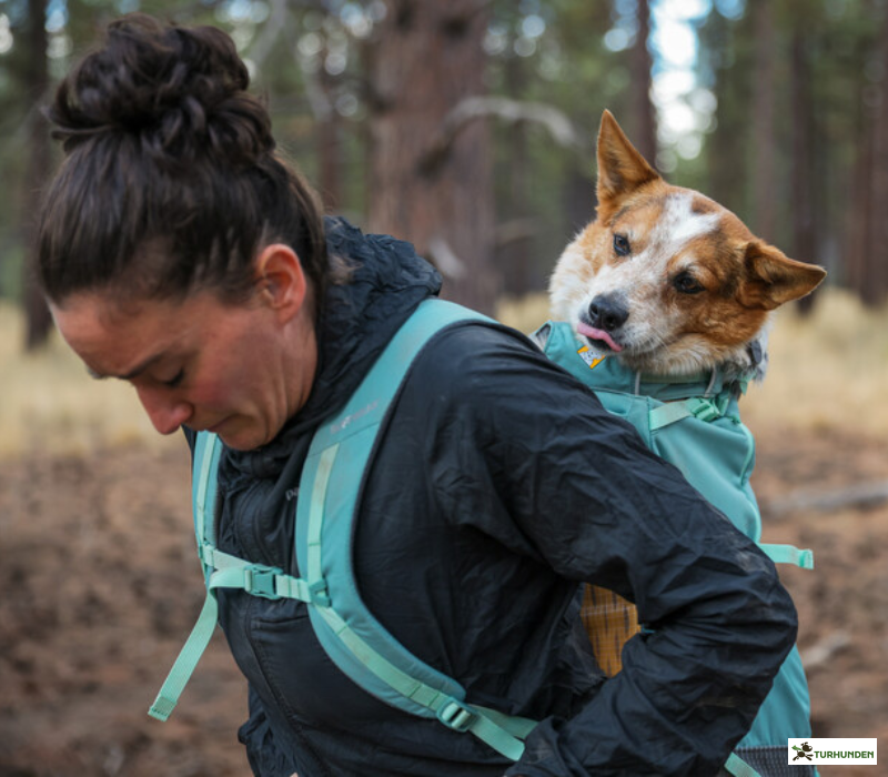 Ruffwear Hitch Hiker Dog Backpack Carrier