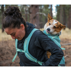 Ruffwear Hitch Hiker Dog Backpack Carrier