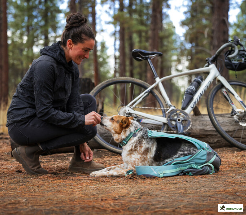 Ruffwear Hitch Hiker Dog Backpack Carrier