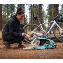 Ruffwear Hitch Hiker Dog Backpack Carrier