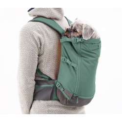 Ruffwear Hitch Hiker Dog Backpack Carrier