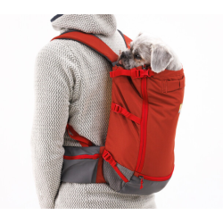 Ruffwear Hitch Hiker Dog Backpack Carrier