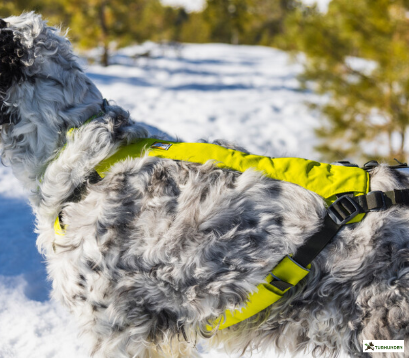 Ruffwear Omnijore lbest