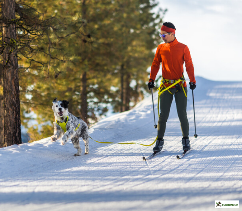 Ruffwear Omnijore lbest