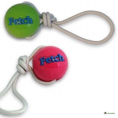 Planet Dog Fetch Bold