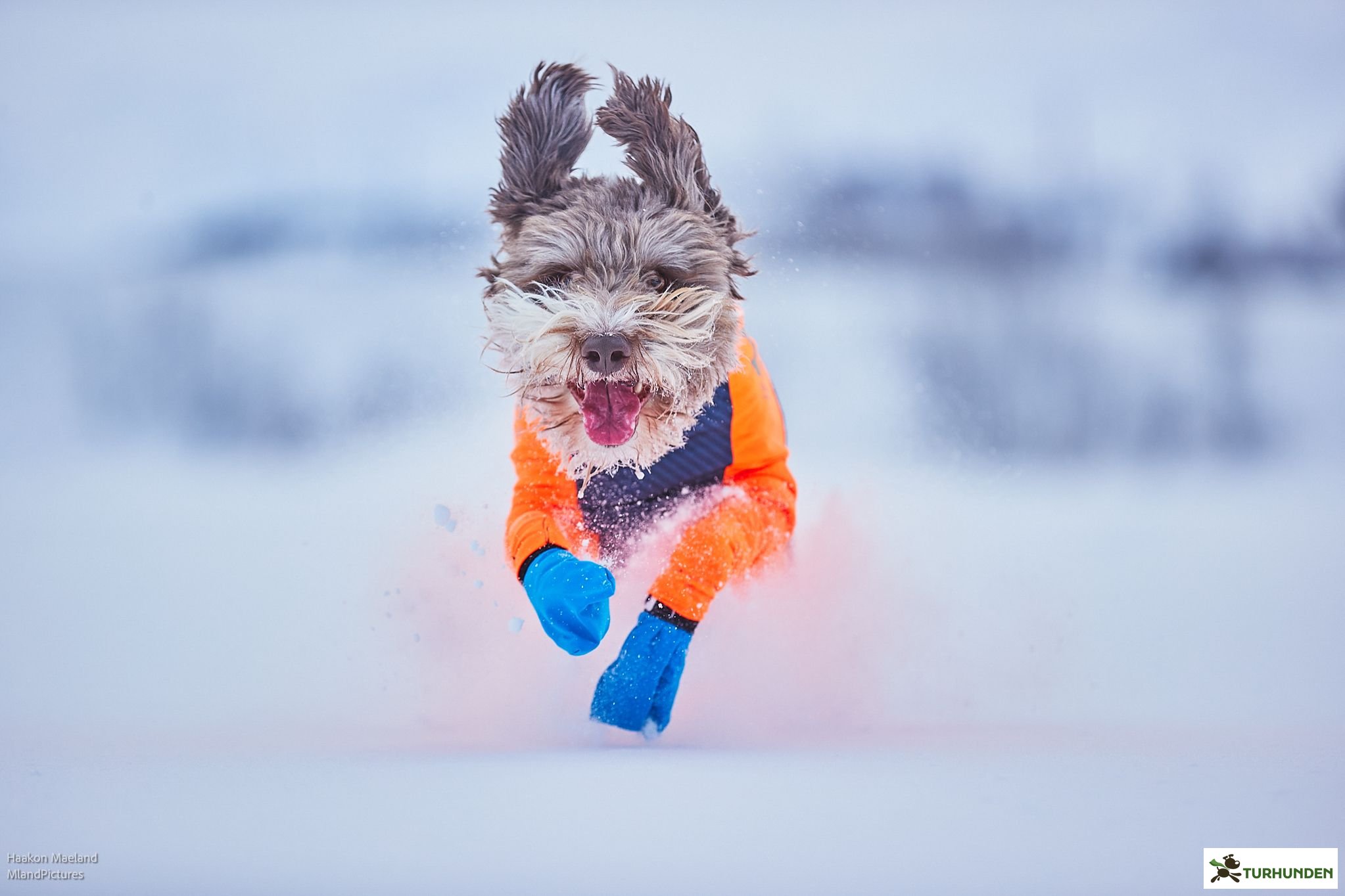 Non-stop dogwear Long distance bootie, 4 stk