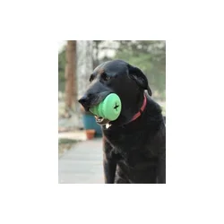 Sodapup Christmas Tree