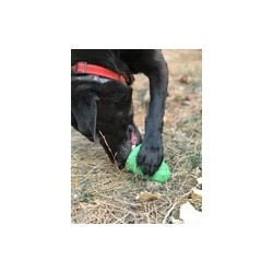 Sodapup Christmas Tree