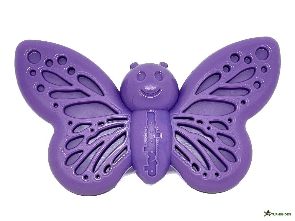 Sodapup Butterfly
