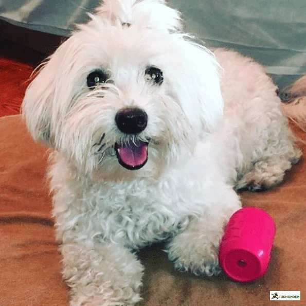 Sodapup Can Toy Puppy Pink