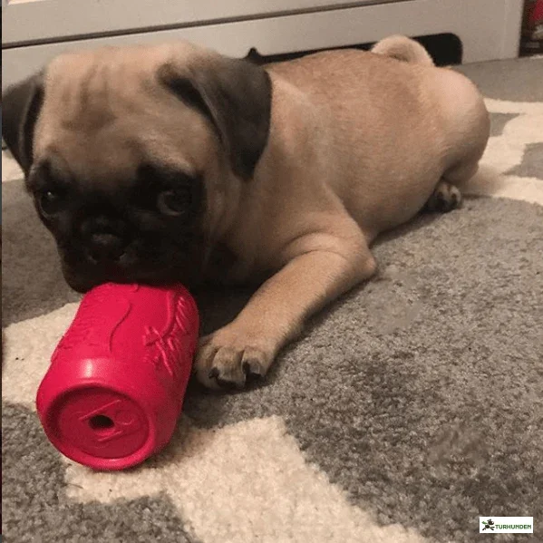 Sodapup Can Toy Puppy Pink