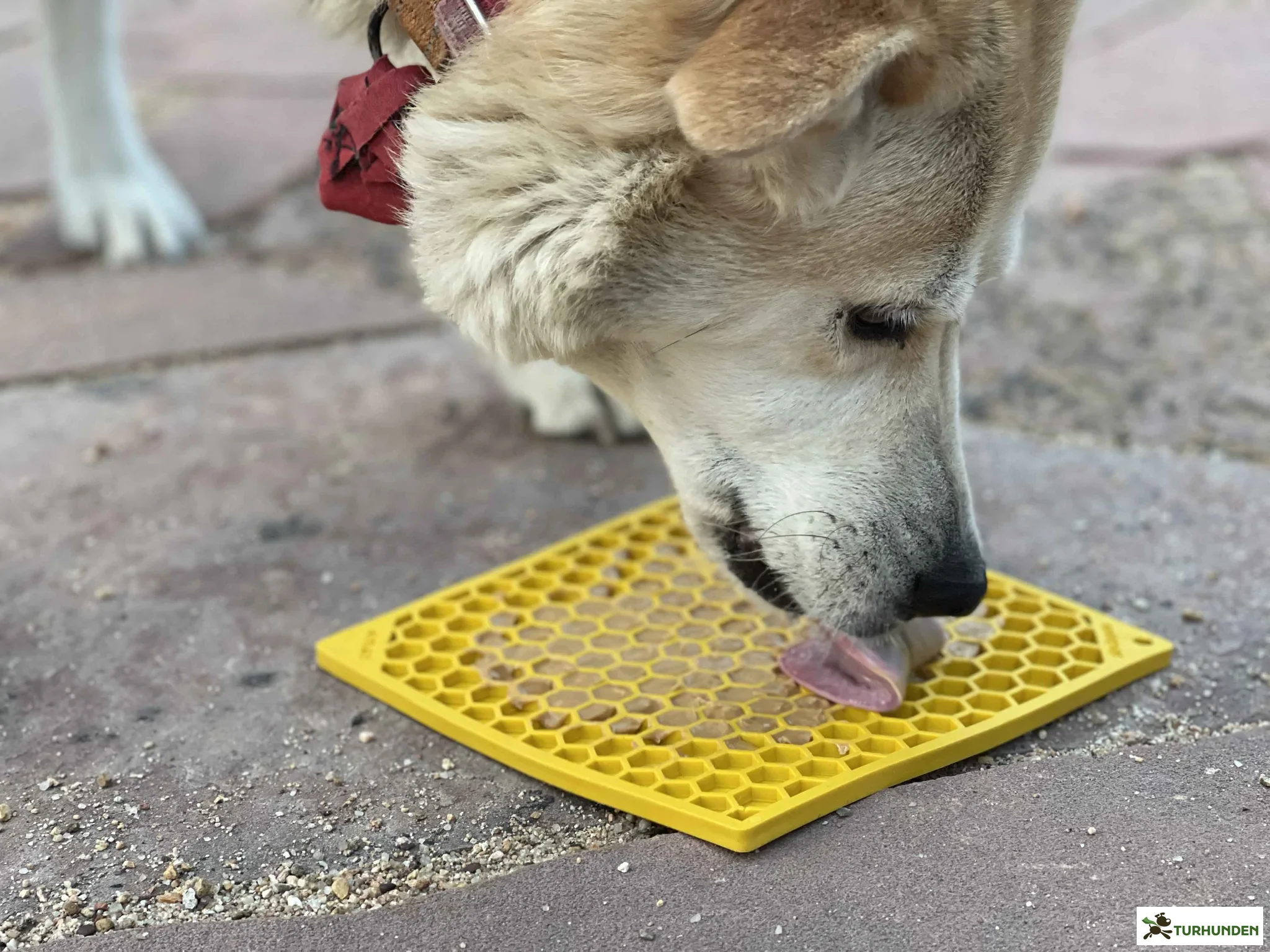 Sodapup Emat HoneyComb