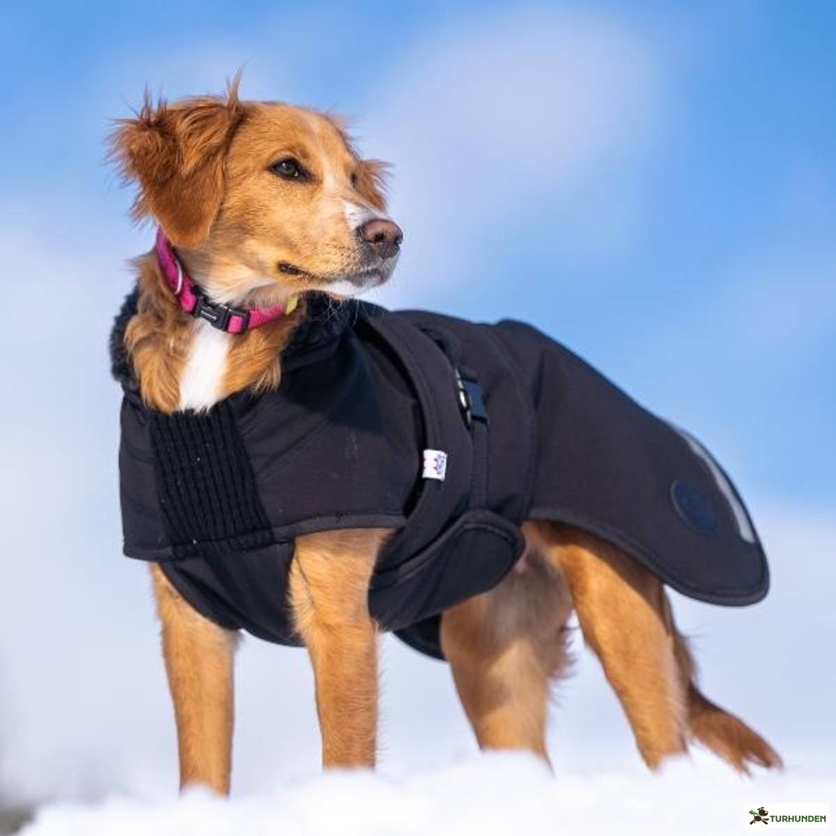 Canelana Thermo Dog Coat
