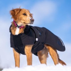 Canelana Thermo Dog Coat