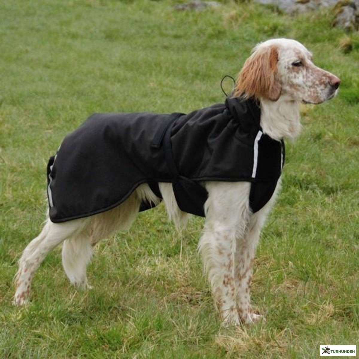 Canelana Black Touring Dog Coat