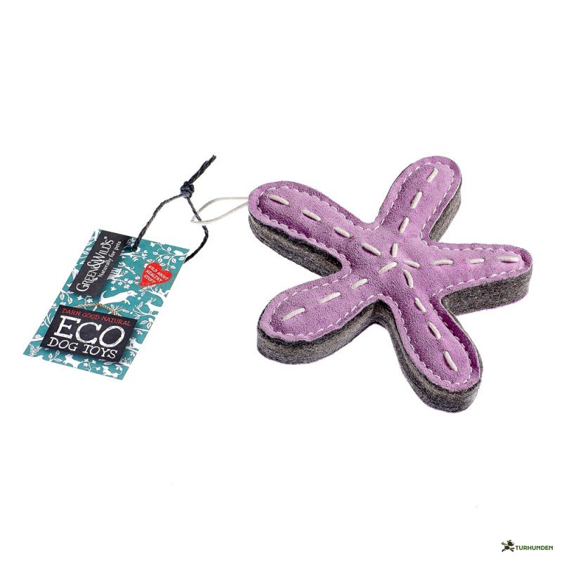 G&W - Stanley the Starfish