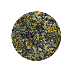 Terra Canis - Casanova