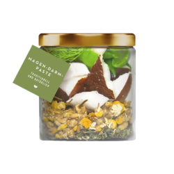 Terra Canis - Gastrointestinal Paste