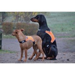 Refleksvest - EuroDogDesigns