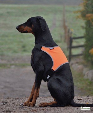 Refleksvest - EuroDogDesigns