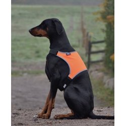 Refleksvest - EuroDogDesigns