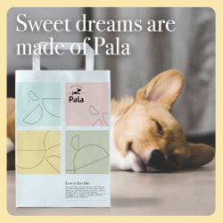 Pala Recipe # 1 Original