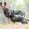 Canelana Thermo Dog Coat