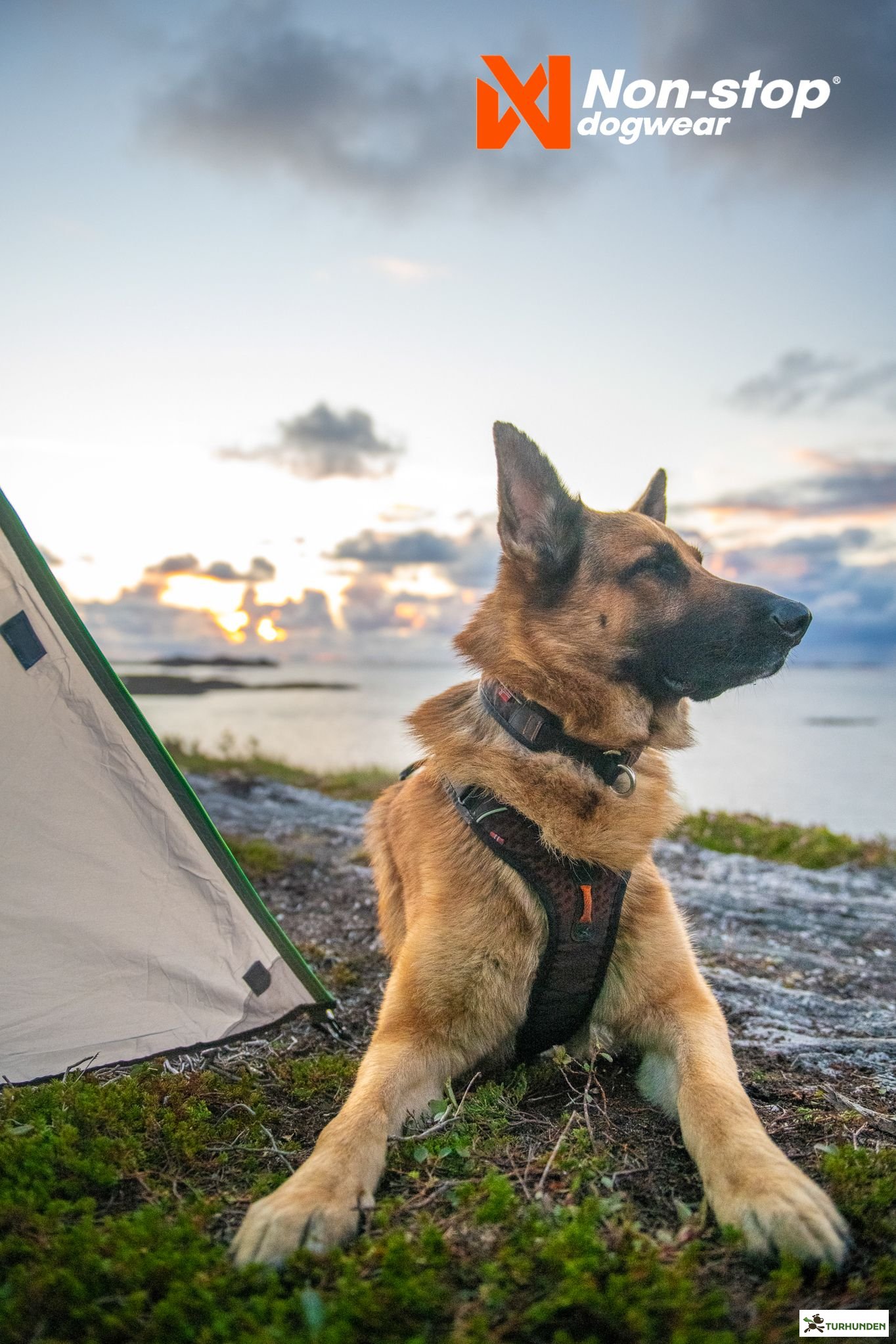 Non-Stop dogwear Rock Harness